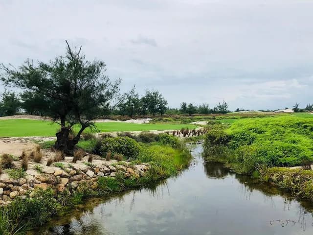 FLC Quang Binh Golf Links (Inbound)